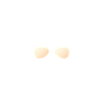 Eichhörnchen 🐿️