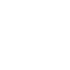 yorkshire hund terrier weiss