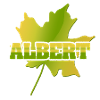 Albert Albert