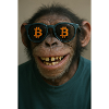 Bitcoin meets Monkey Joe