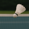 Sport - Badminton