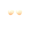 Katze Cat