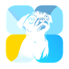 Pug Animal Welfare