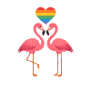 Flamingo Love – Pride Heart Edition