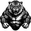 Tiger Muscles Bodybuilding