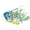 RIKELS Design: Radfahrer 2025