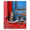 chat doux