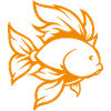 goldfish