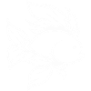 goldfish
