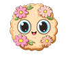 Biscuit with flowers