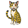 Knuffy Cat