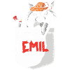 Raccoon Emil