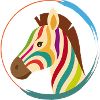 Colourful zebra – unique striped look