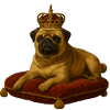 Mops der König
