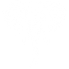 La force de l'éléphant