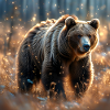 Power Animal Magical Bear