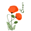 Summer flower