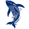 Le rorqual bleu