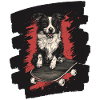 Boarder Collie Dog on Skateboard