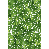 Monstera