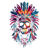 Skull Indian Feather Headdress
