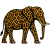 Motif léopard éléphant