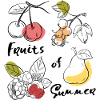 Fruits de l’été