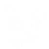 Freedom - Cool Bald Eagle Logo
