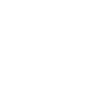 dragon lover