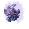 Floratone 61