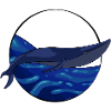 Blue whale tail on ocean