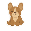 Frenchie