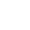 Memento Mori Skull
