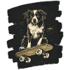Boarder Collie Dog on Skateboard