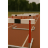 Sport - Hurdles in Athletics