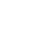 Wild Viking Skull / Viking