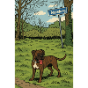 Mäxelweg – Boxer love in the countryside