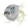 East Coast Sprat
