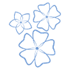 Pretty Blue Flowers