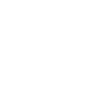 beaver