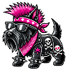 Scottish Terrier Punk Music
