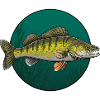 Zander Pêche Pêche aux carnassiers