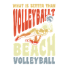 Beach Volleyball better than Volleyball