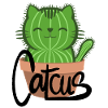 Catcus