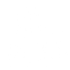 Butterfly with flowers