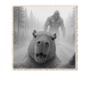 Capybara, Selfie, Bigfoot, Funny Capybara