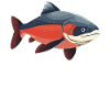 Salmon Salmon