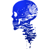 Ocean Skull