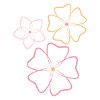 Pink And Orange Flowers