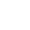 Old-school long-distance coach
